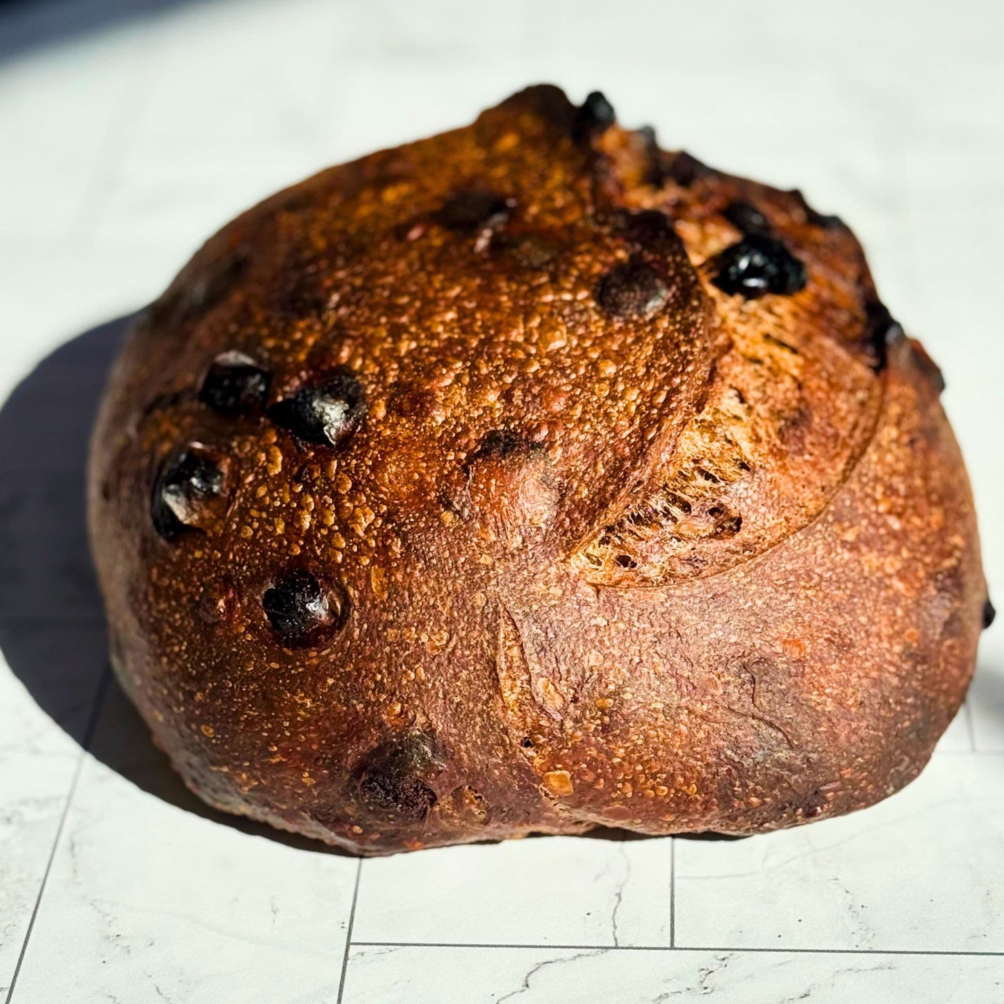 Bread of the Week: Dark Chocolate Cherry