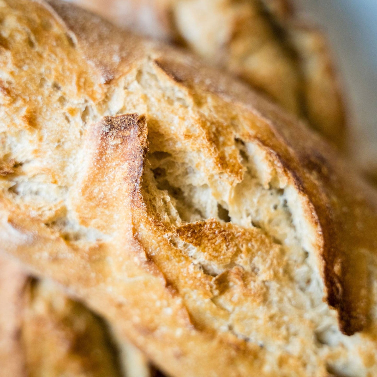 Demi Baguette